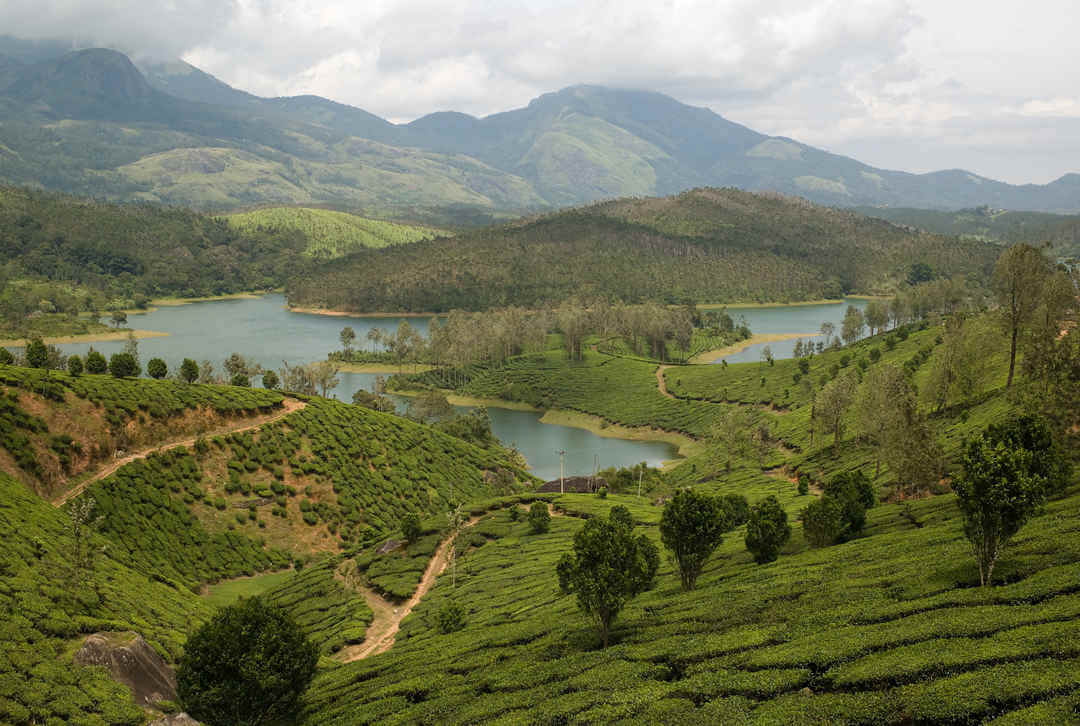 Top Hill Stations To Visit In South India