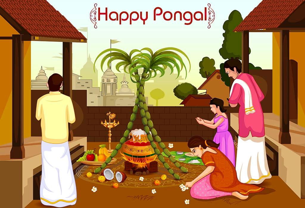 Pongal Harvest Celebrations In South India 