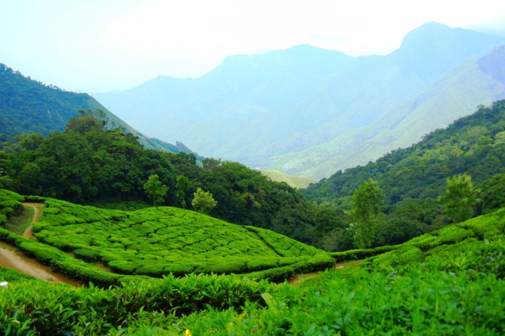 best places to visit in kerala hill stations