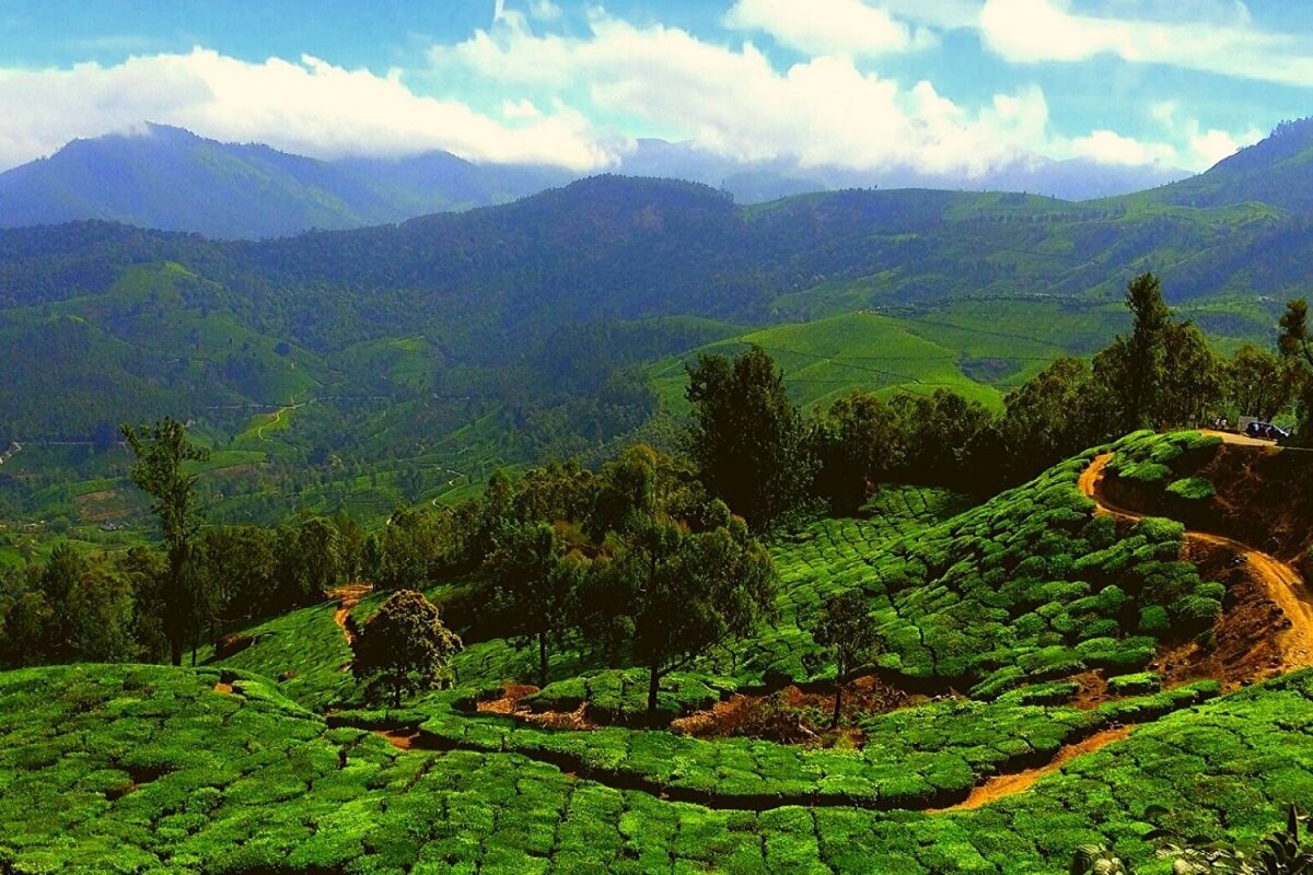 Best Time to Visit Munnar Summer, Winter or Monsoon? Tusk Travel Blog