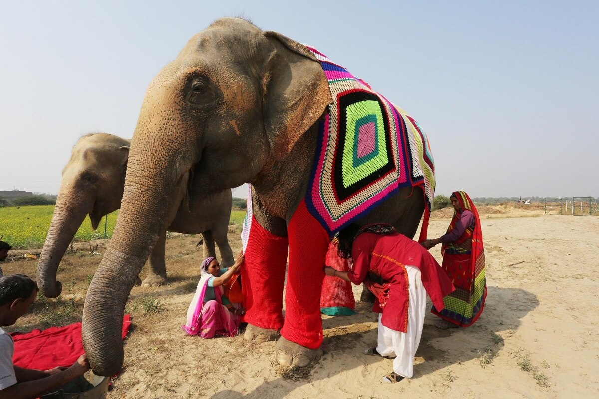 Elephantastic Adventures: 10 Places To Hang Out With Elephants In India ...