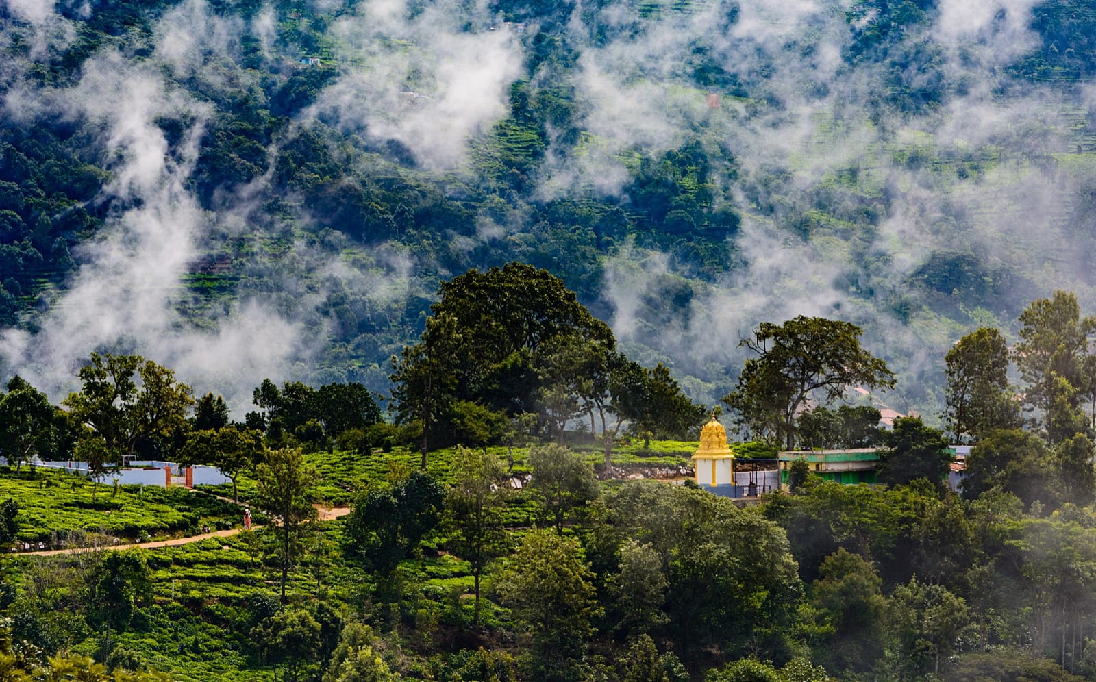 Kotagiri Hill Station in Tamil Nadu: A Nature Lover's Paradise - Tusk  Travel Blog