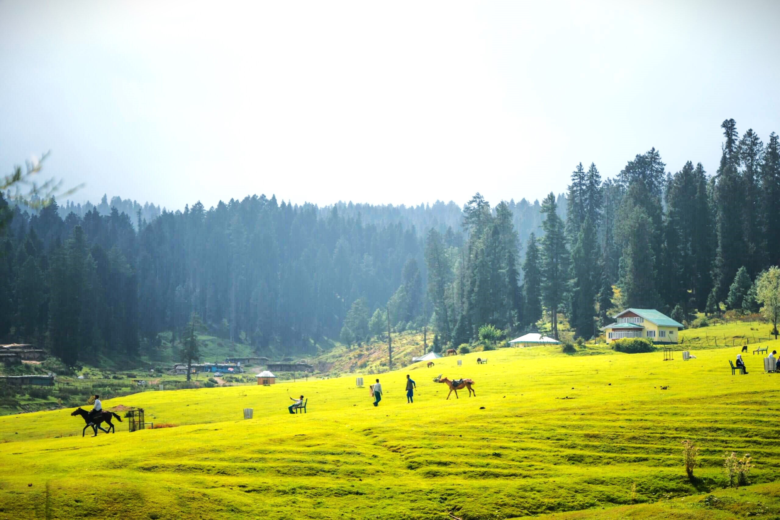 Yusmarg: A Travel Guide to Kashmir's Hidden Gem